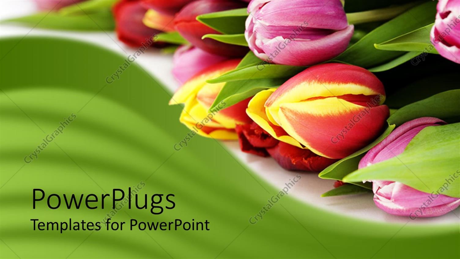 Premium Template for PowerPoint & Google Slides 