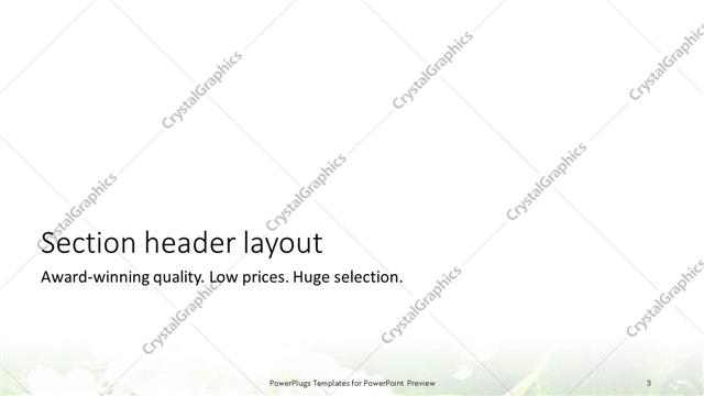 Section Header presentation slide layout