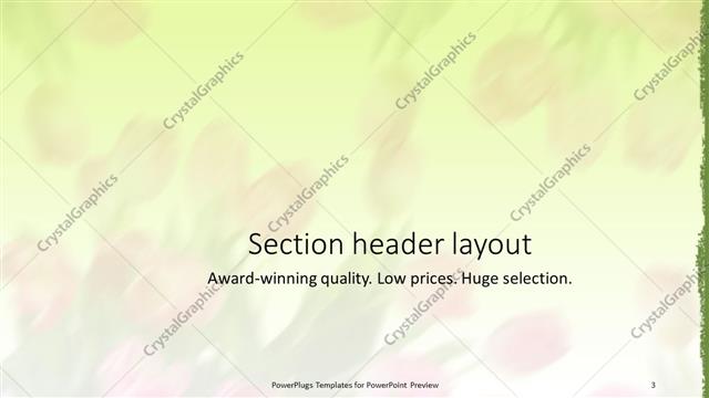 Section Header presentation slide layout