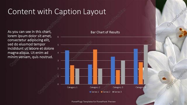 Content with Caption presentation slide layout
