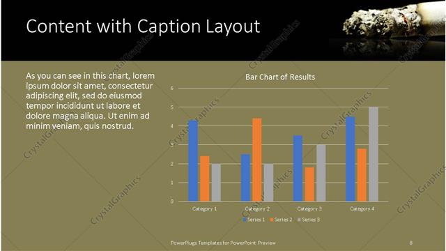 Content with Caption presentation slide layout