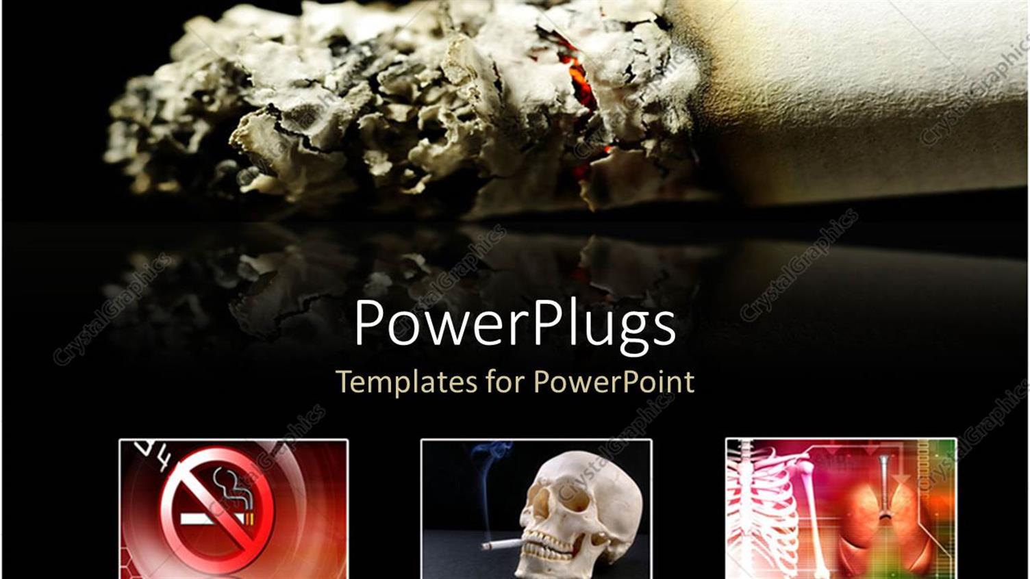 Premium Template for PowerPoint & Google Slides 