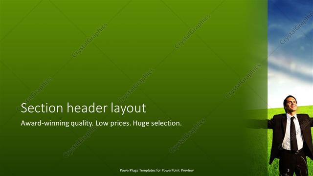 Section Header presentation slide layout