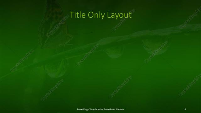 Title Only presentation slide layout