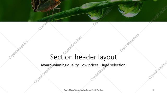 Section Header presentation slide layout