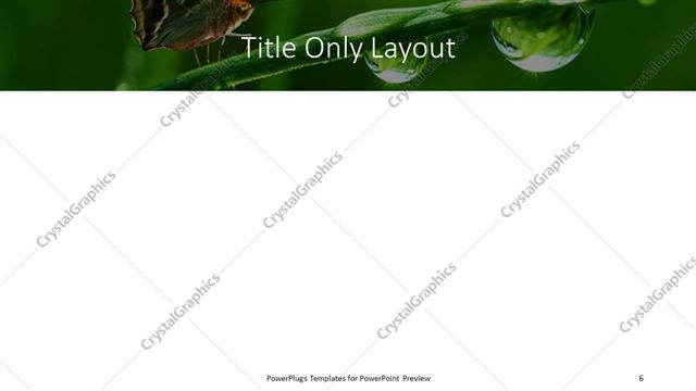 Title Only presentation slide layout