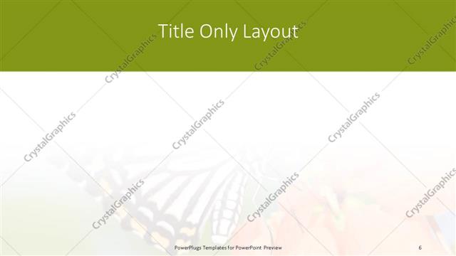 Title Only presentation slide layout