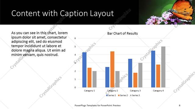 Content with Caption presentation slide layout