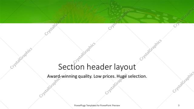 Section Header presentation slide layout