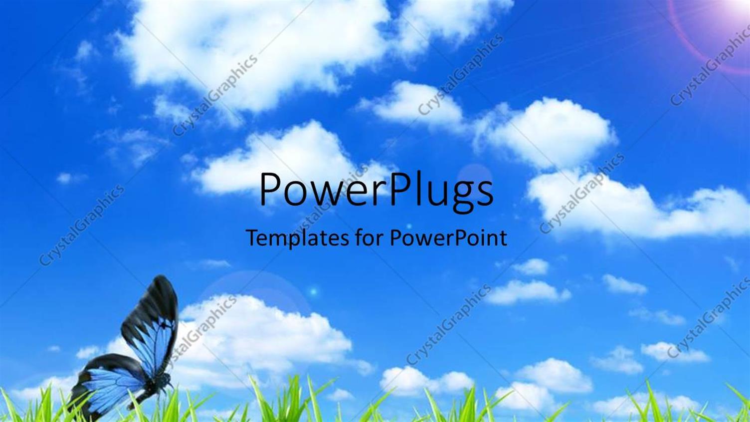 Premium Template for PowerPoint & Google Slides 