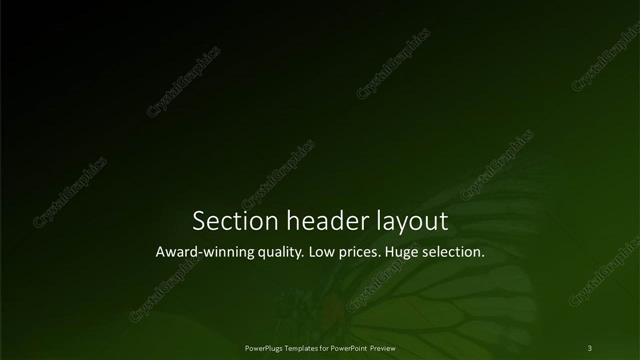 Section Header presentation slide layout