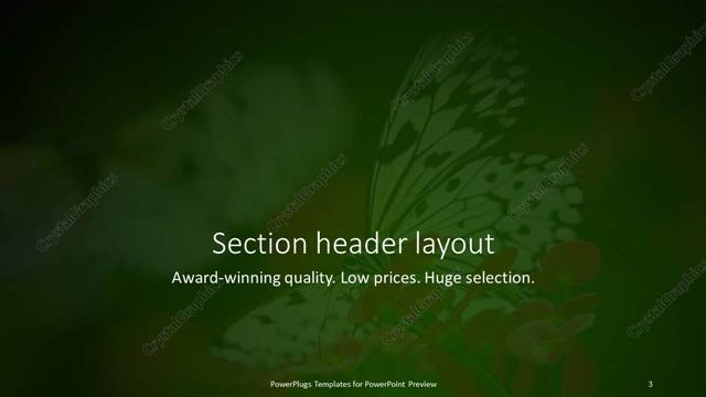 Section Header presentation slide layout
