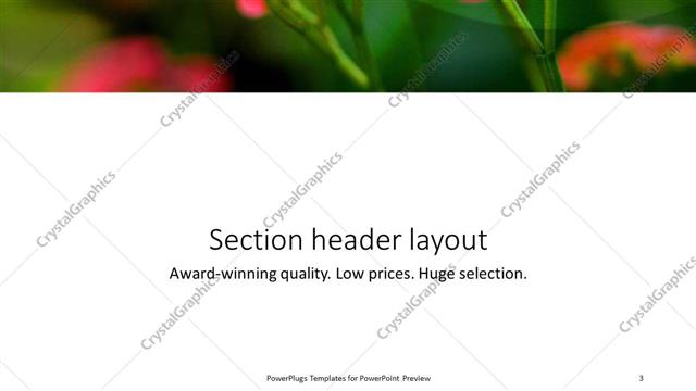 Section Header presentation slide layout