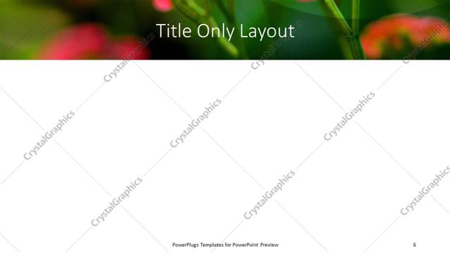 Title Only presentation slide layout