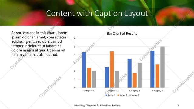 Content with Caption presentation slide layout