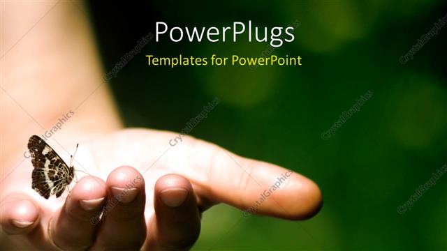  Presentation with glow - Butterfly perches on human hand with bright light glow