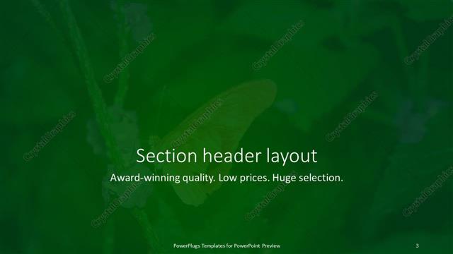 Section Header presentation slide layout