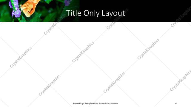 Title Only presentation slide layout