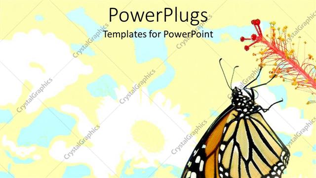 Presentation with floral - Butterfly on a plant flower with floral pattern on bright cream background