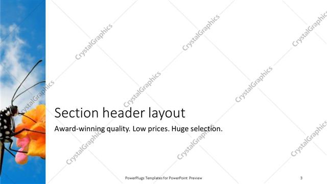 Section Header presentation slide layout