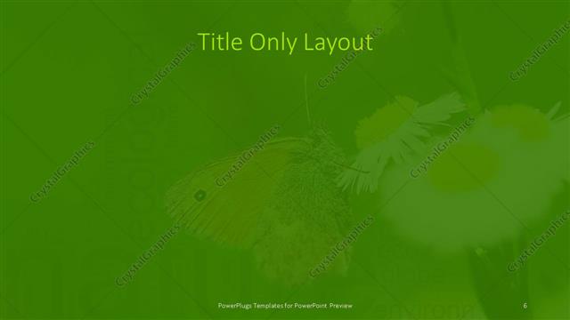 Title Only presentation slide layout