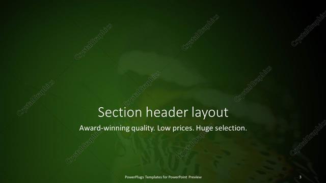 Section Header presentation slide layout