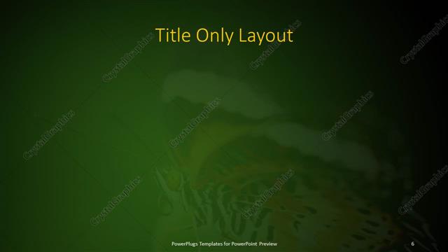 Title Only presentation slide layout