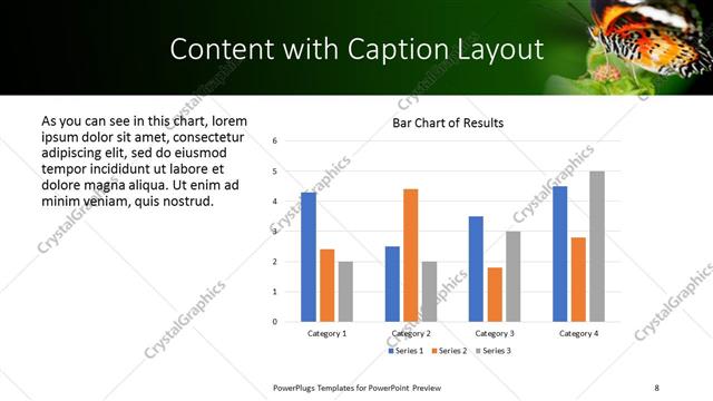 Content with Caption presentation slide layout