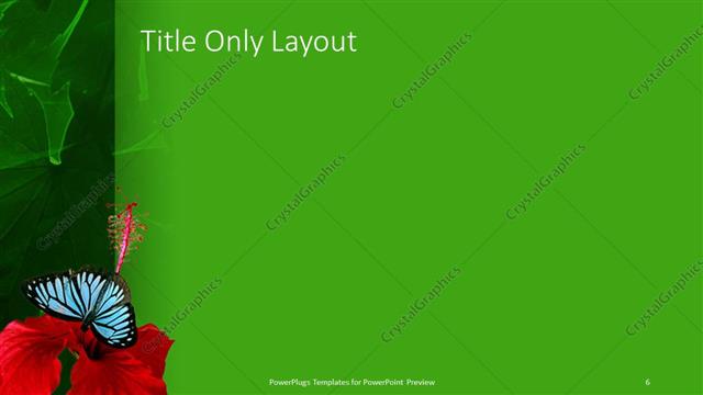 Title Only presentation slide layout