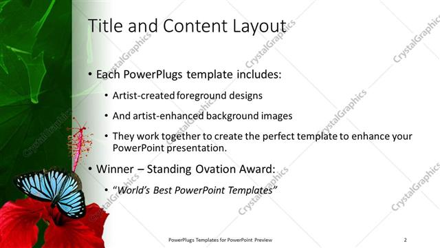 Title and Content presentation slide layout
