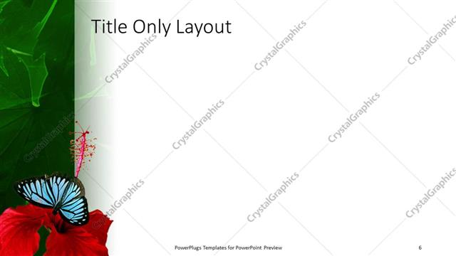 Title Only presentation slide layout