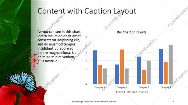 Content with Caption presentation slide layout