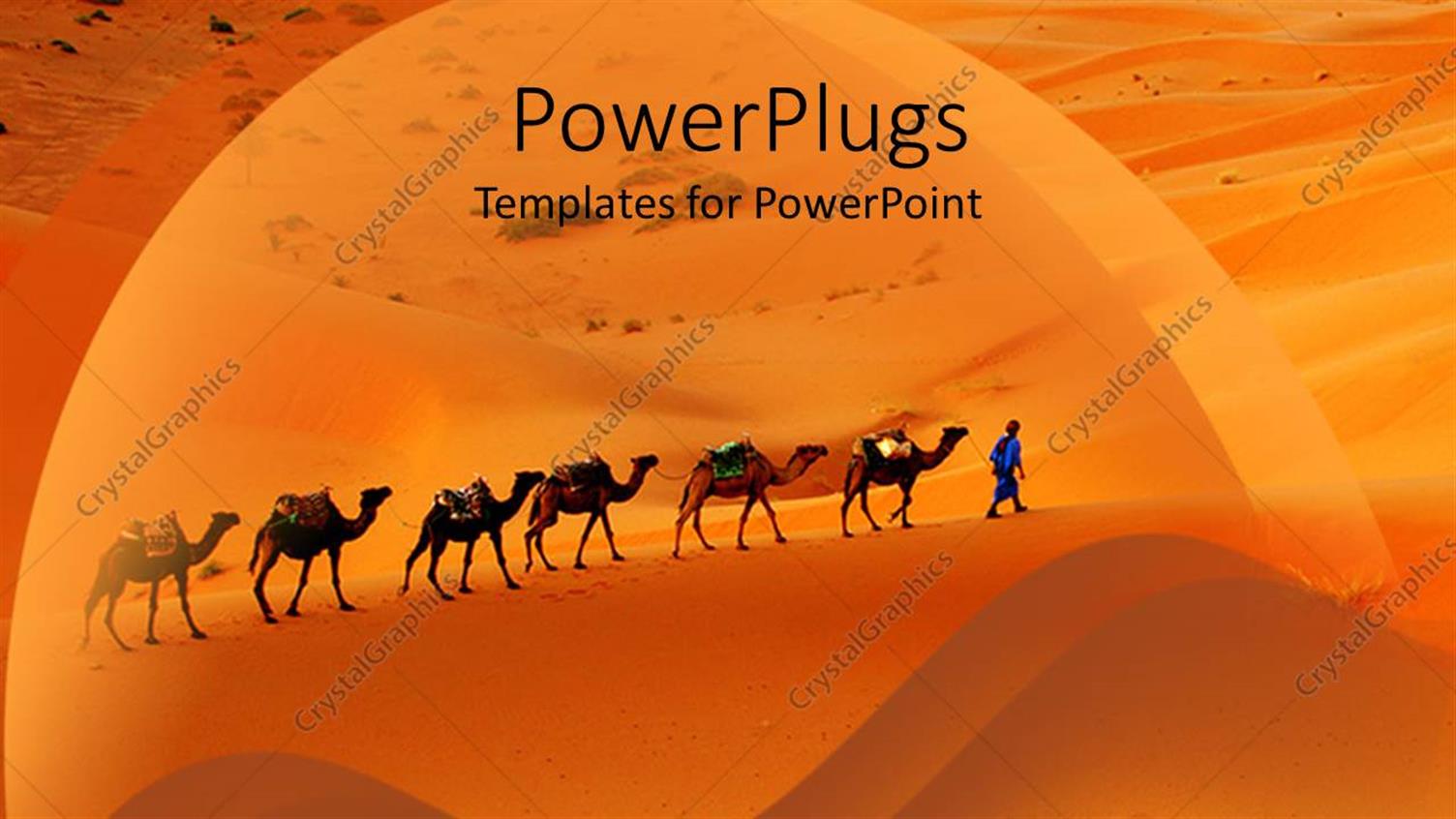 Premium Template for PowerPoint & Google Slides 