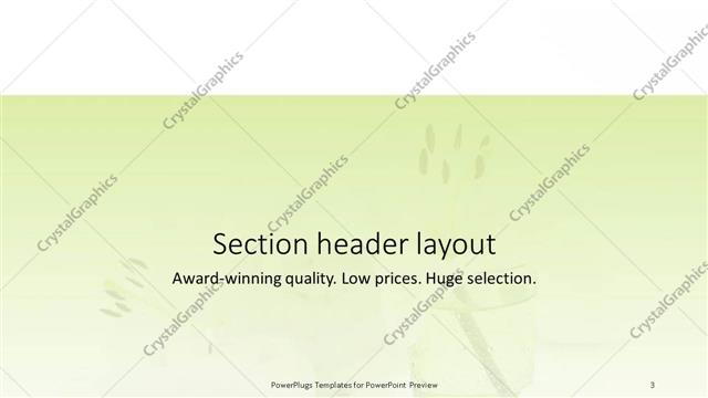 Section Header presentation slide layout