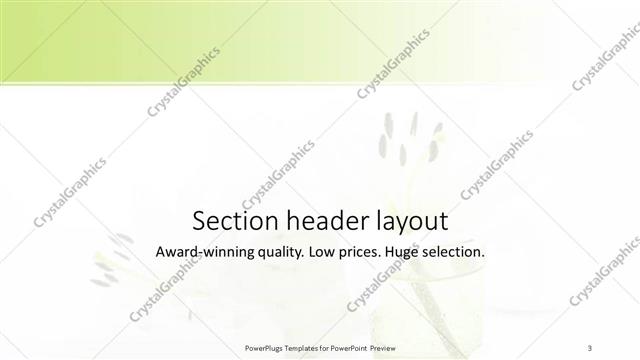Section Header presentation slide layout