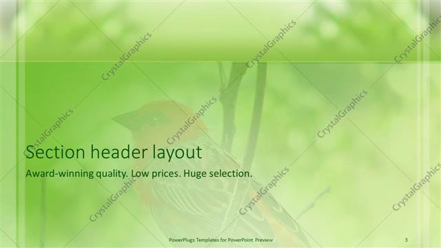 Section Header presentation slide layout