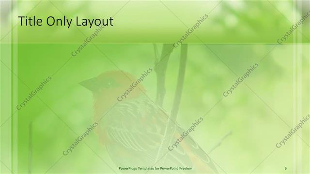 Title Only presentation slide layout