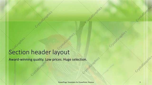 Section Header presentation slide layout
