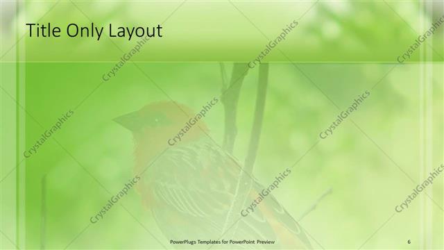 Title Only presentation slide layout