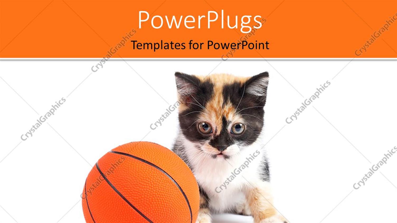 Premium Template for PowerPoint & Google Slides 