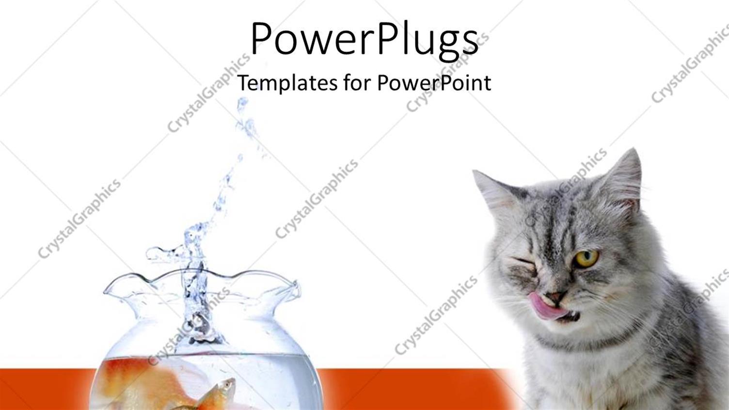 Premium Template for PowerPoint & Google Slides 