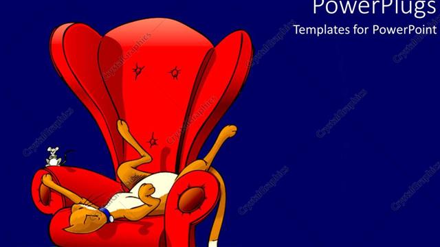  Presentation with cat - A cat lying on a chair along with a mouse