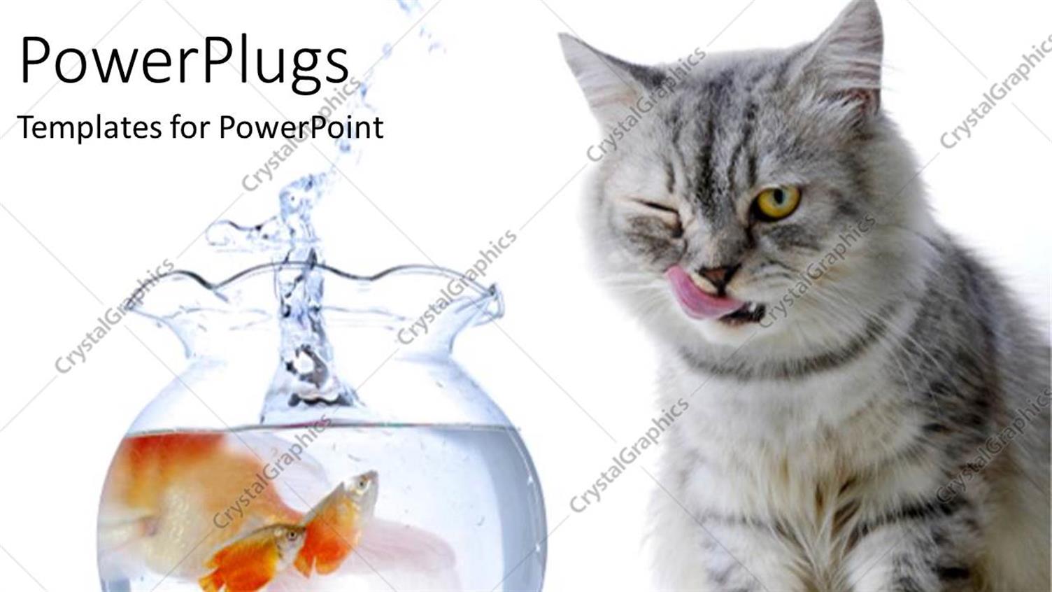 Premium Template for PowerPoint & Google Slides 