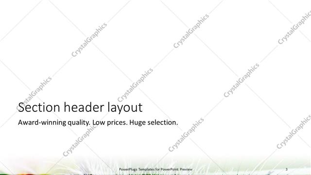 Section Header presentation slide layout