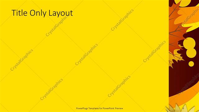 Title Only presentation slide layout