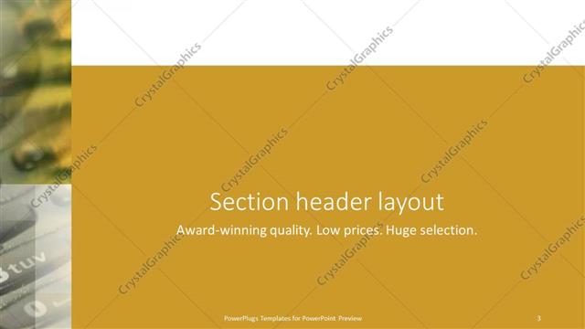 Section Header presentation slide layout