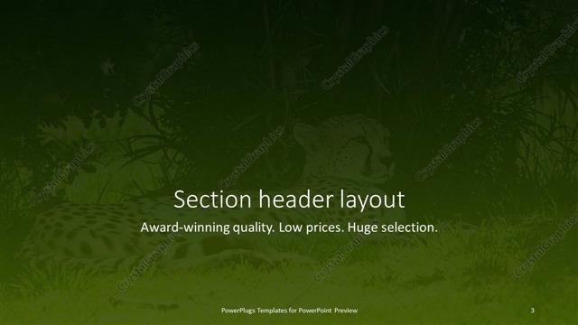 Section Header presentation slide layout