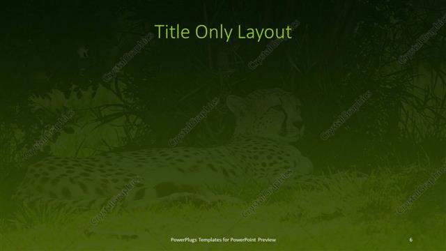 Title Only presentation slide layout