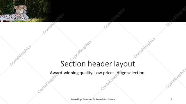 Section Header presentation slide layout