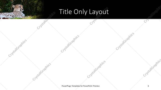 Title Only presentation slide layout